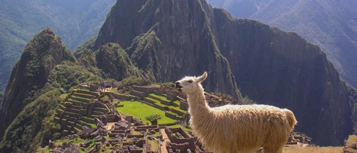 Le Machu Picchu